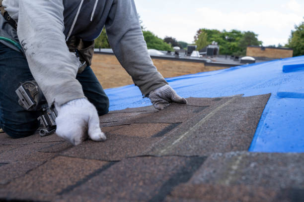 Best Roof Maintenance Services  in Randolph, WI
