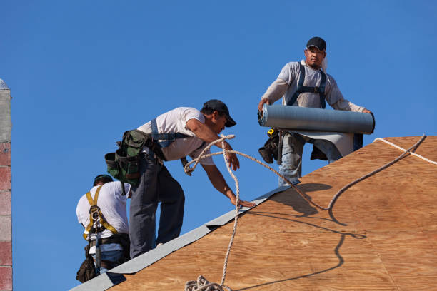 Best Roof Gutter Cleaning  in Randolph, WI